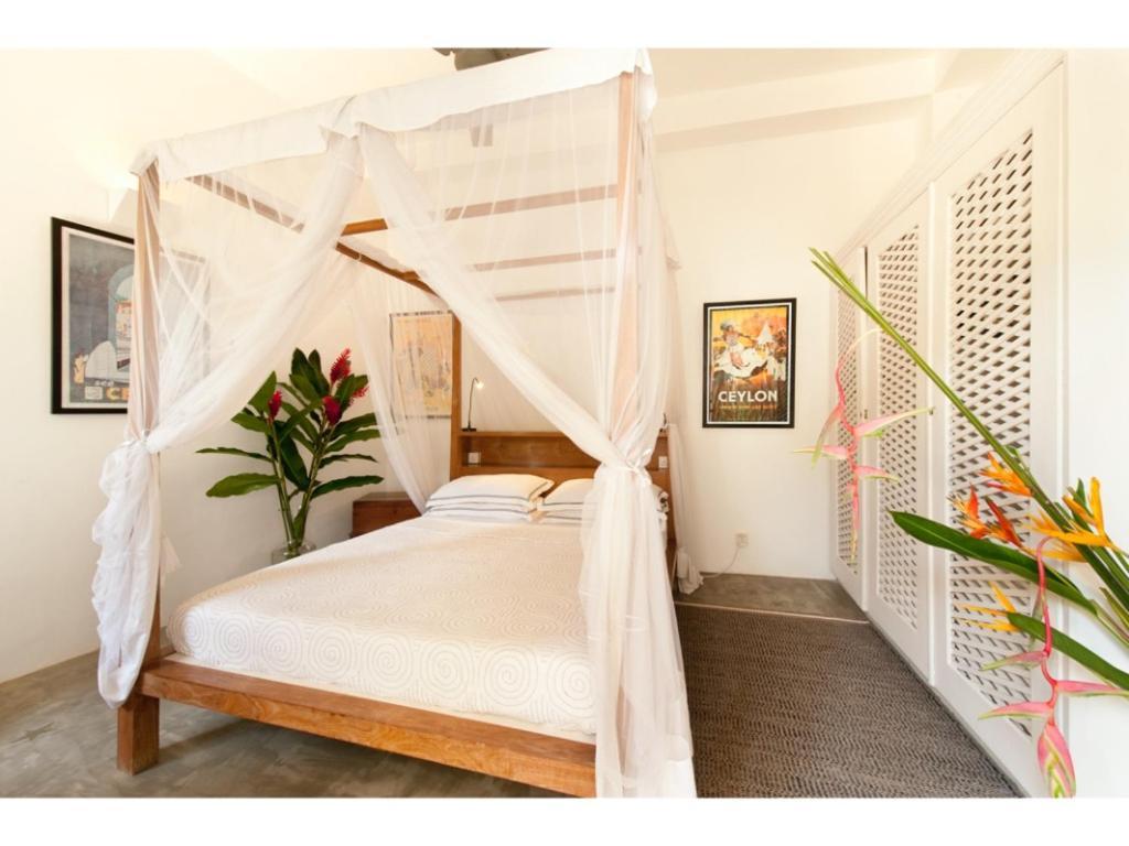 Pool, Roof Terrace, 3 Bedroom Villa, Galle Fort Galle