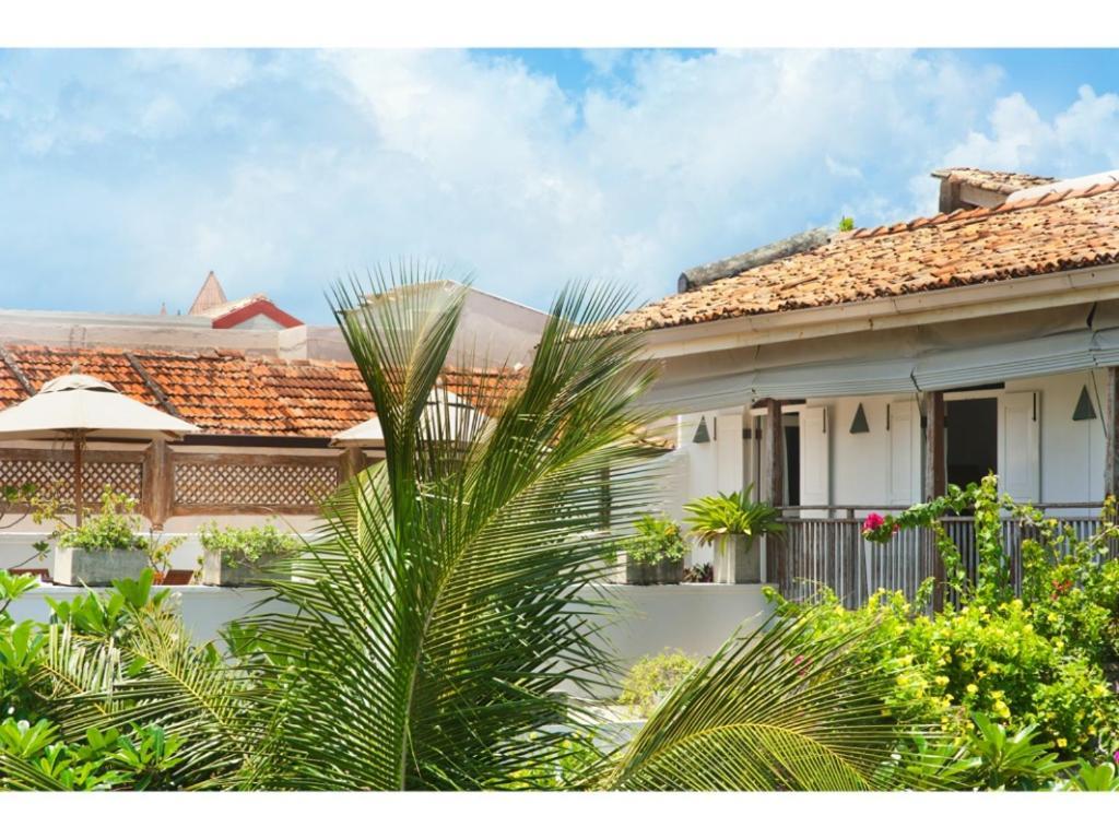 Pool, Roof Terrace, 3 Bedroom Villa, Galle Fort Galle